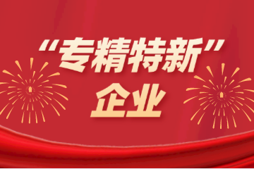 喜訊！遠望信息入選浙江省“專(zhuān)精特新”企業(yè)名單